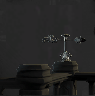 Image of item calibansGuidance for general information in codex.