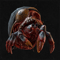 Image of item redbeard for general information in codex.