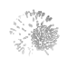 Firework Icon