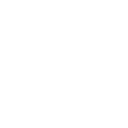 Perk Icon