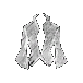Torso Icon