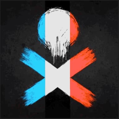 Image of the Skull & Bones France discord on the partner page.