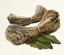 Image of raw material [object Module] in codex for item brazingFurnaceMortar1.