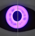 Image of item amethystGaze for general information in codex.