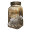 Camphor Icon