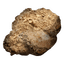 Image of raw material [object Module] in codex for item baneOfTenSuns.