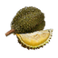 Image of material durian in codex for item grilledDurian.