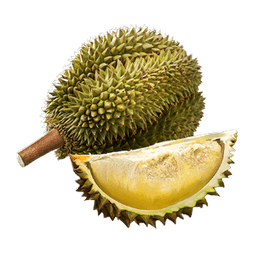 Image of item durian for general information in codex.