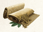 Image of raw material [object Module] in codex for item floodingDemicannon2.