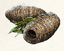 Image of raw material [object Module] in codex for item saw4.