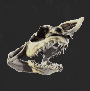 Image of item jaws for general information in codex.