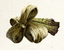 Image of raw material [object Module] in codex for item grindstoneCulverin1.