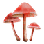 Liberty Cap Icon