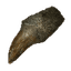 Image of material monstrousTooth in codex for item wrappingsOfTheDeep.