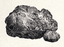 Image of raw material [object Module] in codex for item floodingDemicannon1.