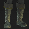 Image of item scaledBoots for general information in codex.