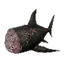 Image of material sharkMeat in codex for item grilledShark.