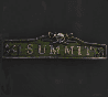 Image of item summit for general information in codex.