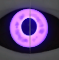 Image of Amethyst Gaze in codex search.