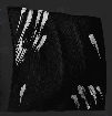 Image of Anpaka's Grip in codex search.