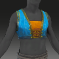 Image of Gilet azur in codex search.