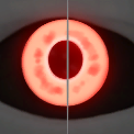 Image of Blinding Anguish in codex search.