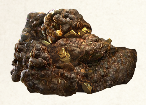 Image of raw material [object Module] in codex for item ironHusk1.