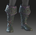 Image of Chasm Boots in codex search.