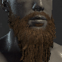 Image of Curly Facial Hair in codex search.