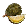 Image of material durian in codex for item grilledDurian.