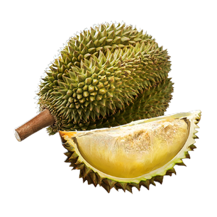 Image of Durian in codex search.