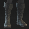 Image of Exalted Boots in codex search.