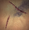 Image of Field Sutures in codex search.