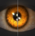 Image of Fiery Revenant's Eyes in codex search.