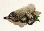 Image of material fineHemp in codex for item sloop.