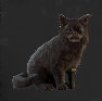 Image of item firstMateWhiskers for general information in codex.