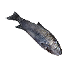 Image of material fish in codex for item otakOtak.