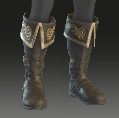 Image of Fur-lined Boots in codex search.