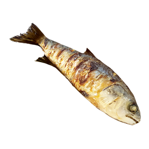 Image of Grilled Fish in codex search.