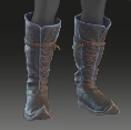 Image of Lavender-lined Boots in codex search.