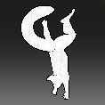 Image of Lemur Handstand in codex search.