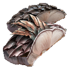 Image of material lestarisMeat in codex for item grilledLestariMeat.