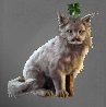 Image of Lucky Clover in codex search.