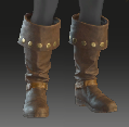 Image of Lucky Gold Boots in codex search.