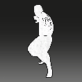 Image of Panda Stance in codex search.