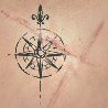 Image of Precious Scars in codex search.