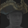 Image of Prized Bicorne in codex search.