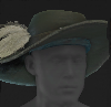 Image of Prospero's Hat in codex search.