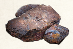 Image of raw material [object Module] in codex for item spikedWarHorn1.