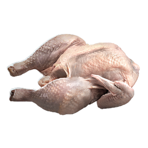 Image of Raw Chicken in codex search.